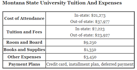 Montana-State-University-Tuition